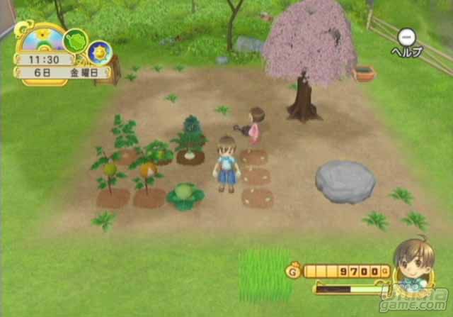 harvest moon tree of tranquility pc