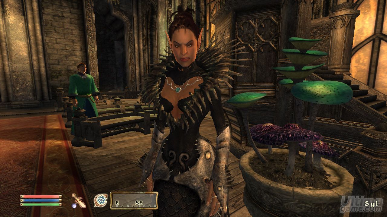 de The Elder Scrolls IV: Oblivion Expansión - Shivering Isles ...